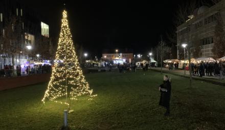 Weihnachtsbaum auf dem Uni Campus