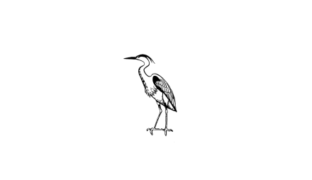 Reiher