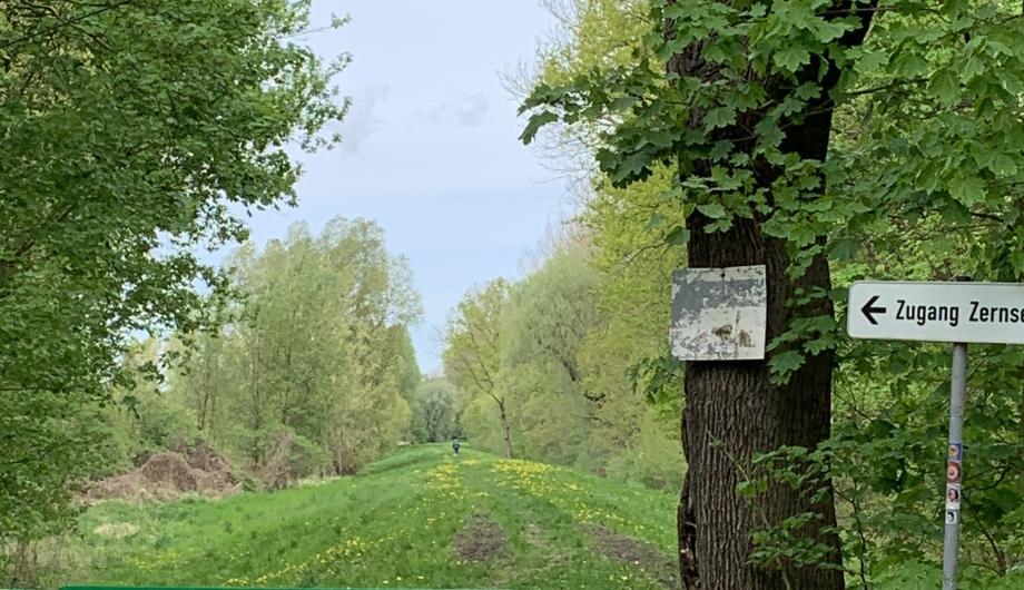 Damm der eigentliche Damm - nicht Straße