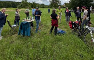 Pause auf der Wiese