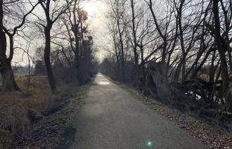 Asphaltierter Weg 