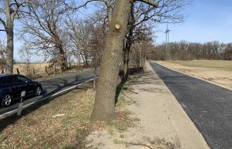 neuer Radweg parallel zur Bornimer Chaussée