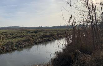 Blick aufs Golmer Luch über einen Graben