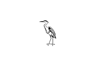 Reiher
