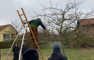 Buampfleger im Baum beobachtet von Teilnehmern