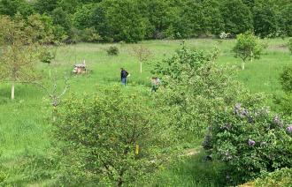 Wiese Blick von oben