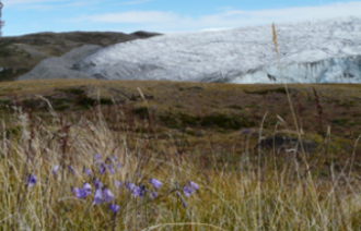 Gletscher