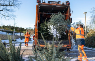 STEP holt Weihnachtsbäume ab