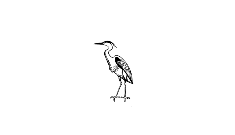 Reiher