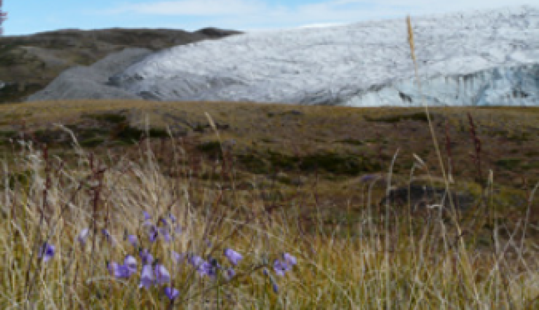 Gletscher