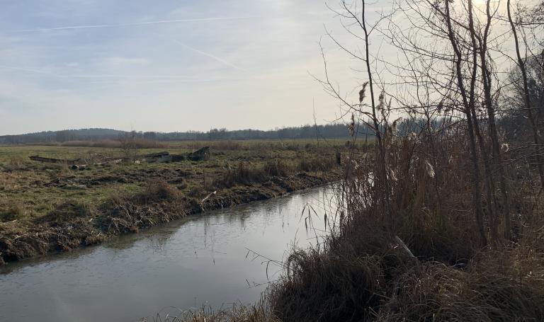 Blick aufs Golmer Luch über einen Graben