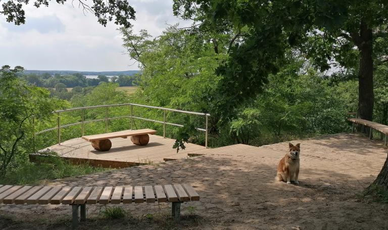 Blcik auf die Aussichtsplattform mit Hund im Vordergrund